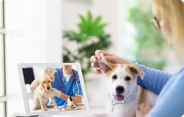 Health Record Screenshot