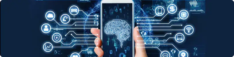 ML Model Development